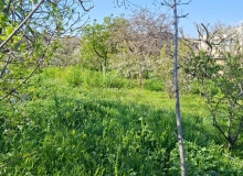 Saray qəsəbəsi, Molla Pənah Vaqif küçəsi