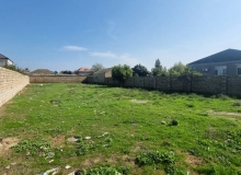 Buzovna