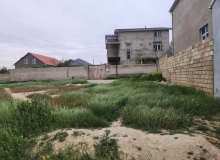 Masazır qəsəbəsi, Tural Rəhimli küçəsi