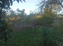 Qala qesebesi