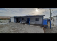 Yaşma bağları