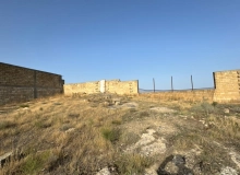 Badamdar qesəsbəsi