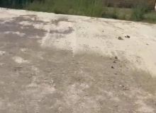 Masazır