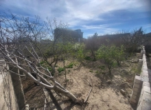 Xəzər rayonu ,Buzovna qəsəbəsi