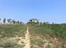 Məmmədli qəsəbəsi