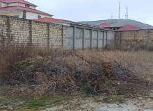 Novxanı