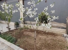 Maştağa qəsəbəsi