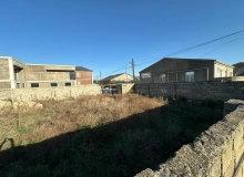Buzovna
