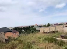 Novxanı
