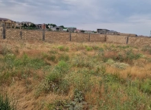 Masazır