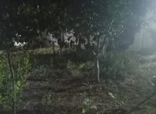 Sabunçu rayon Maştağa qəsəbəsi