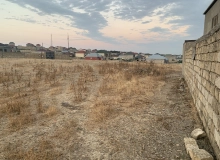 Satılır Abşeron, Fatmayı kəndi