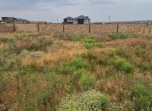 Masazır