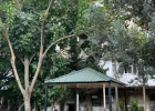 İzmir küçəsi