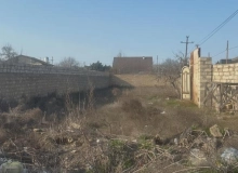 Xəzər rayonu Buzovna qəsəbəsi Albalı Bağları