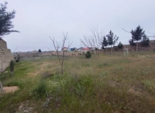 Nardaran