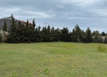 Buzovna