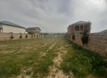 Buzovna