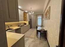 Aga Neymetulla kucesi