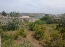 Nardaran