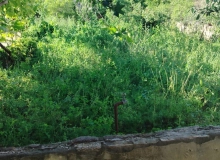 Buzovna qəsəbəsi