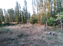 Quba, Alekseyevka kəndi