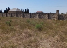Buzovna