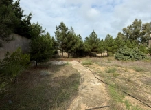 Şüvəlan