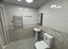 Memmed Emin Resulzade kucesi