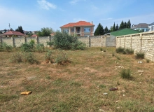 Novxanı