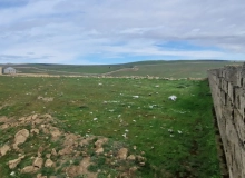 Novxanı