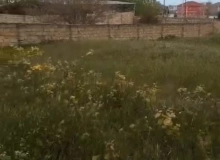 Saray qəsəbəsi