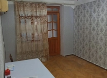 Zerdabi kuc
