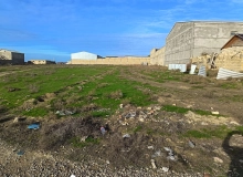 Saray qəsəbəsi, Polad Həşimov küçəsi