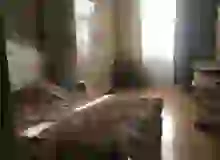 Badamdar