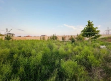 Şüvəlan
