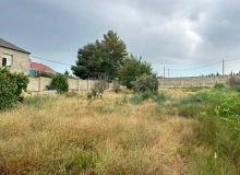 Saray qəsəbəsi
