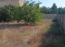 Buzovna