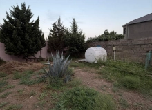 Şağan