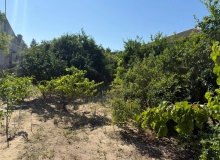 Sabunçu rayonu
