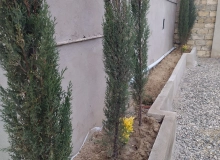 Novxanı, M.S.Ordubadi küçəsi