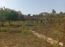 Pirşağı qəsəbəsi