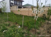 Abşeron rayonu, Mehdiabad qəsəbəsi
