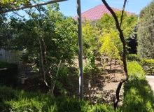 Xəzər rayonu ,Buzovna qəsəbəsi