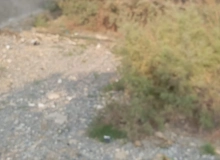 Samid İmanov küçəsi