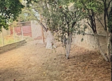 Buzovna