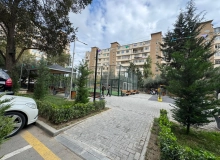 Şərifzadə küçəsi