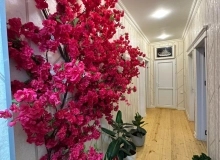 Zaur Həsənov küçəsi