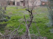 Badamdar