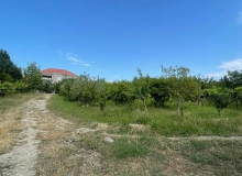 Məhəmməd Əsədov küçəsi